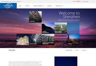 沙漠风网站建设公司成功案例 深圳市英文网官方网站设计制作