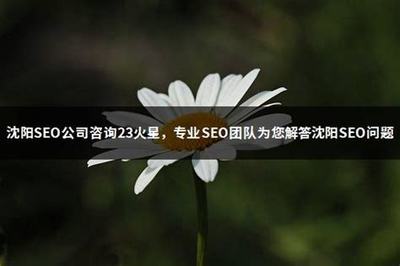 深度解析 如何甄别2024年正规SEO公司与深圳企业网站建设策略